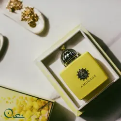 ادوپرفیوم آمواج زنانه مدل لاو میموسا حجم ۱۰۰ میل