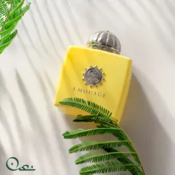 ادوپرفیوم آمواج زنانه مدل لاو میموسا حجم ۱۰۰ میل