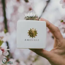 ادوپرفیوم آمواج زنانه مدل هانر (آنر) حجم ۱۰۰ میل