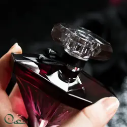 ادوپرفیوم لانکوم زنانه مدل لانویت ترزور ای لافولی حجم ۷۵ میل