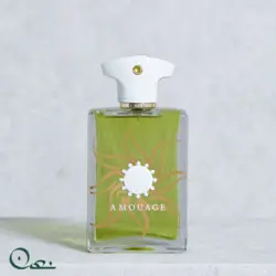 ادوپرفیوم آمواج مردانه مدل سان شاین حجم ۱۰۰میل