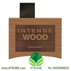 عطر ادکلن دسکوارد2 هی وود اینتنس 100 میل مردانه