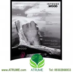 عطر ادکلن دسکوارد2 هی وود اینتنس 100 میل مردانه