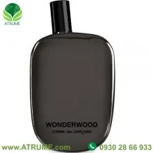 عطر ادکلن کام دی کارگونس واندر وود 100 میل مردانه