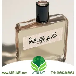 عطر ادکلن الفکتیو استودیو استیل لایف این ریو 100 میل مردانه - زنانه