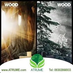 عطر ادکلن دسکوارد2 هی وود سیلور وایند وود 100 میل مردانه