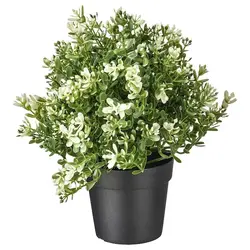 گل و گلدان مصنوعی ایکیا FEJKA آویشن 9 سانتی متر