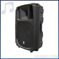 باند 15 اینچ اکتیو زیکو  ZICO W-17A