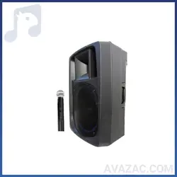 اکو همراه ۱۲ اینچ بیسیم برین مدل 12400 | آوازک