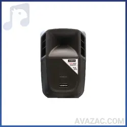 باند اکتیو چیرمن مدل Chairman SX15A خرید اسپیکر اکتیو SX-15A |آوازک ♫