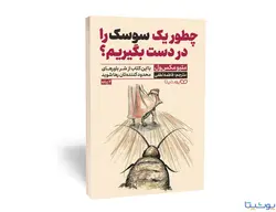 کتاب چطور یک سوسک را در دست بگیریم؟ اثر متیو مکس ول