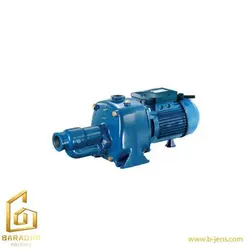 قیمت پمپ خودمکش پنتاکس CAB - استعلام لیست قیمت پمپ خودمکش پنتاکس CAB