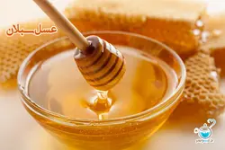 شهد عسل سبلان - درجه یک