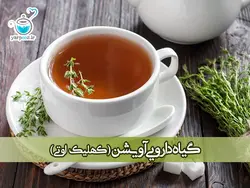 دم نوش و گیاه دارویی آویشن ( کهلیک اوتی )