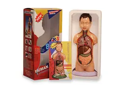 مولاژ تنه بدن - ارزانکده اسباب بازی بابانوئل