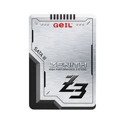 اس اس دی گیل ظرفیت SSD Geil 256GB