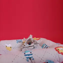 بالش شیردهی و فرم دهی سر نوزاد فیشر پرایس FisherPrice