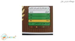 نایزی نان - 64 عددی