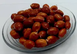 سنجد نوع 2 - با خانه