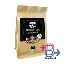 قارچ دم بوقلمون یا ترکی تیل 100 گرمی