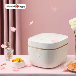 پلوپز ویومی VXFB30C-1 - شیائومی سیتی