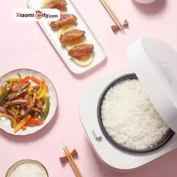 پلوپز ویومی VXFB30C-1 - شیائومی سیتی