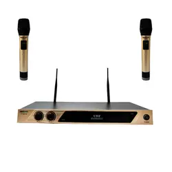 میکروفن بیسیم ای ای پی پرو مدل AP-M600HH