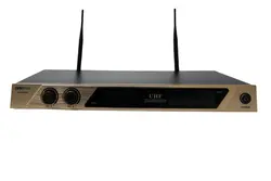 میکروفن بیسیم ای ای پی پرو مدل AP-M600HH