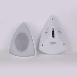 بلندگو دیواری وایت مدل TWO WAY WS-26 T
