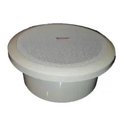 بلندگو سقفی آرنا آوا