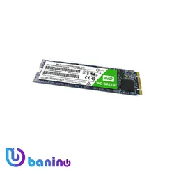 اس اس دی اینترنال وسترن دیجیتال مدل GREEN WD M.2 ظرفیت 240 گیگابایت | بانی نو