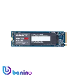 اس اس دی اینترنال M.2 گیگابایت مدل GP-GSM2NE3256GNTD ظرفیت 256 گیگابایت