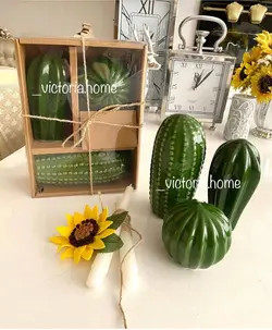 کاکتوس دکوری