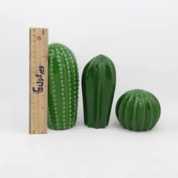 کاکتوس دکوری