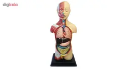 بازی آموزشی طرح مولاژ آناتومی بدن انسان مدل 6060