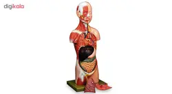 بازی آموزشی طرح مولاژ آناتومی بدن انسان مدل 6060