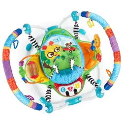 واکر کودک مدل baby einstein
