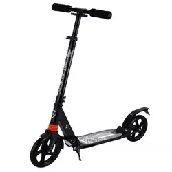 اسکوتر مدل D-MAX-230 | برترکالا