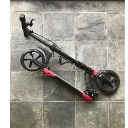 اسکوتر مدل D-MAX-230 | برترکالا