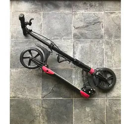 اسکوتر مدل D-MAX-230 | برترکالا