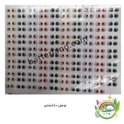 چشم رزینی کد 42 - صنایع دستی خمیری در سرزمین خمیر