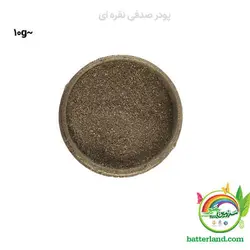 پودر صدفی نقره ای