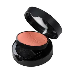 رژگونه Luminous Silk شماره 02 نوت