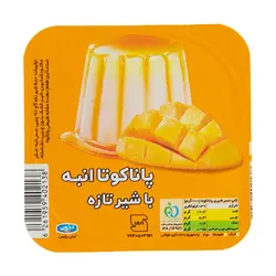 خرید دسر پاناکوتا انبه دنت - 100 گرمی - فروشگاه اینترنتی بازارچه