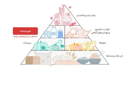خرید دوغ بدون گاز با طعم نعناع 1.5 لیتری دامداران