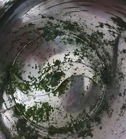 سبزی خرد کن 3 کیلویی برند ساج