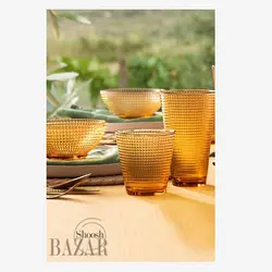 نیم لیوان جنریشن پاشاباغچه کد 52300