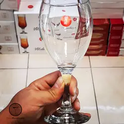 گیلاس کارولینا ساچی