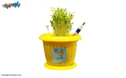 مداد کاشتنی تکی مریان