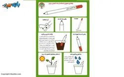 مداد کاشتنی تکی مریان